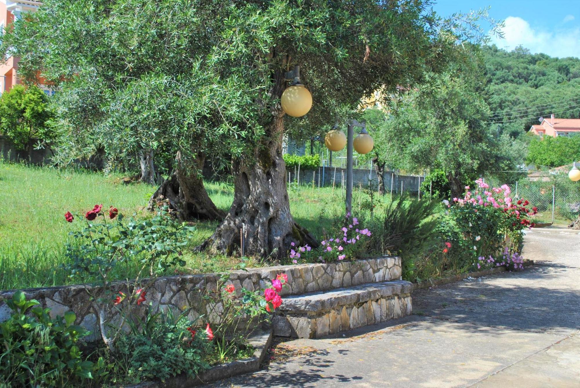 Lefkothea Apartments Kassiopi Dış mekan fotoğraf