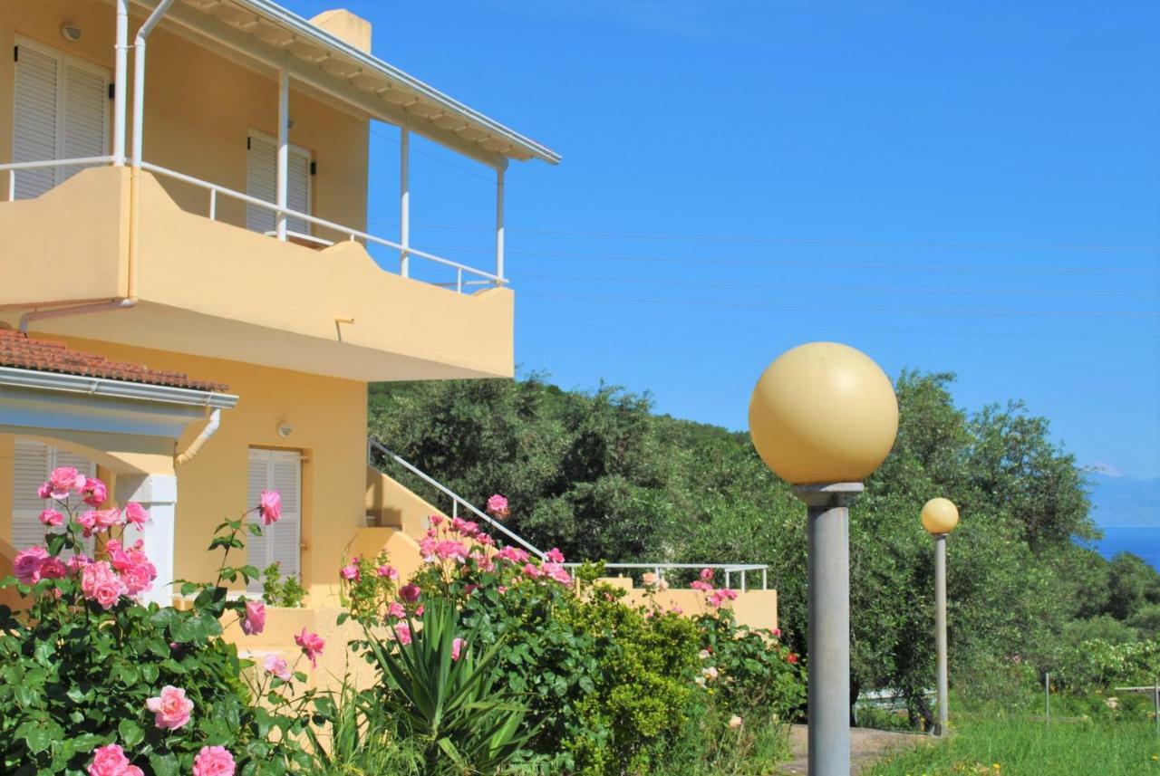 Lefkothea Apartments Kassiopi Dış mekan fotoğraf